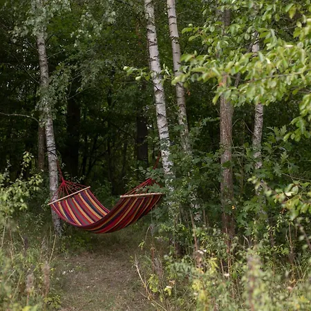 Olejarnia Godki Holiday home Jonkowo
