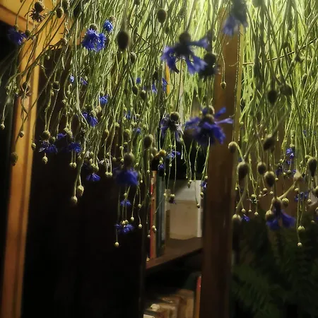 Olejarnia Godki Tatil Evi